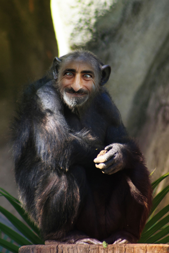 josh_thill_monkey_guy_Imaging_Exploration